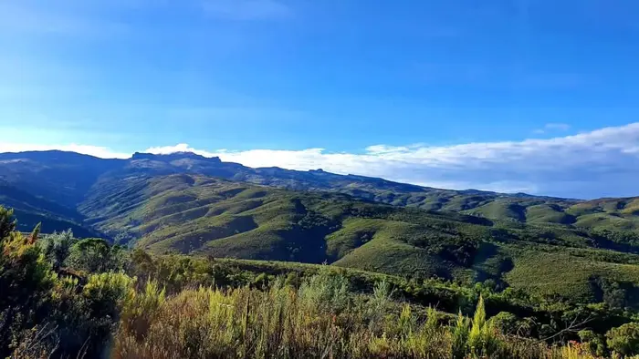 Mount Elgon Nature